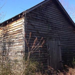 Photo of SOLD!!  54 Acres of Hunting Land for Sale in Halifax County VA!