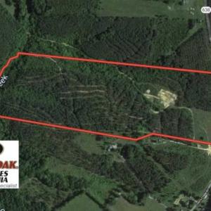 Photo of SOLD!!  54 Acres of Hunting Land for Sale in Halifax County VA!
