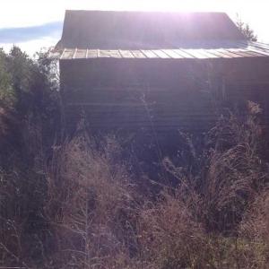 Photo of SOLD!!  54 Acres of Hunting Land for Sale in Halifax County VA!
