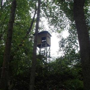 Photo of SOLD!!! 32.97 Acres of Hunting Land For Sale in Nash and Franklin County NC!