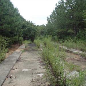 Photo of SOLD!!! 32.97 Acres of Hunting Land For Sale in Nash and Franklin County NC!