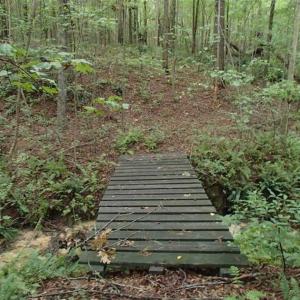 Photo of SOLD!!! 32.97 Acres of Hunting Land For Sale in Nash and Franklin County NC!