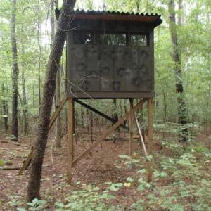 Photo of SOLD!!! 32.97 Acres of Hunting Land For Sale in Nash and Franklin County NC!