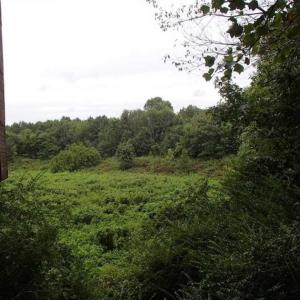 Photo of SOLD!!! 32.97 Acres of Hunting Land For Sale in Nash and Franklin County NC!