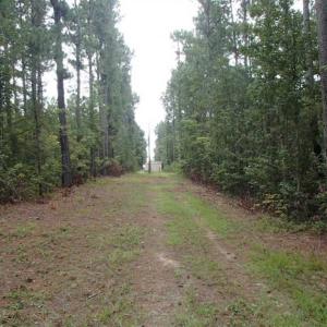 Photo of SOLD!!! 32.97 Acres of Hunting Land For Sale in Nash and Franklin County NC!