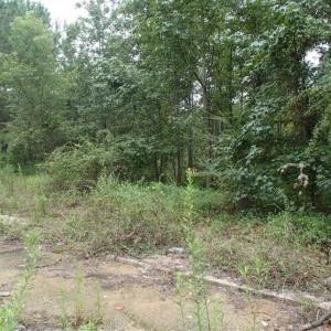 Photo of SOLD!!! 32.97 Acres of Hunting Land For Sale in Nash and Franklin County NC!