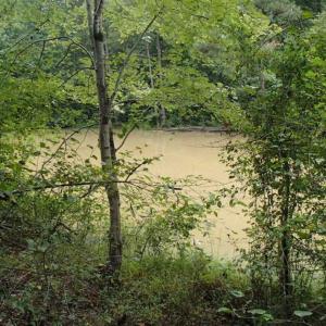 Photo of SOLD!!! 32.97 Acres of Hunting Land For Sale in Nash and Franklin County NC!