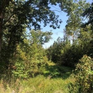 Photo of SOLD!! 22 Acres of Residential and Hunting Land For Sale in Dinwiddie County VA!
