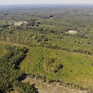 Photo of SOLD!! 22 Acres of Residential and Hunting Land For Sale in Dinwiddie County VA!