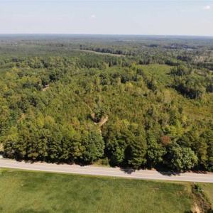 Photo of SOLD!! 22 Acres of Residential and Hunting Land For Sale in Dinwiddie County VA!