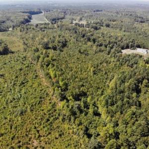 Photo of SOLD!! 22 Acres of Residential and Hunting Land For Sale in Dinwiddie County VA!