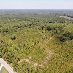 Photo of SOLD!! 22 Acres of Residential and Hunting Land For Sale in Dinwiddie County VA!
