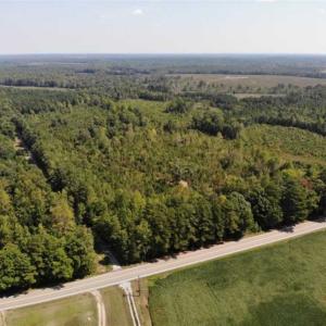 Photo of SOLD!! 22 Acres of Residential and Hunting Land For Sale in Dinwiddie County VA!