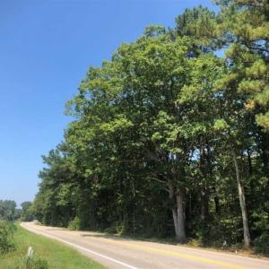 Photo of SOLD!! 22 Acres of Residential and Hunting Land For Sale in Dinwiddie County VA!