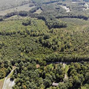 Photo of SOLD!! 22 Acres of Residential and Hunting Land For Sale in Dinwiddie County VA!