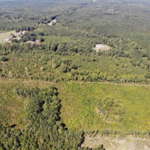 Photo of SOLD!! 22 Acres of Residential and Hunting Land For Sale in Dinwiddie County VA!