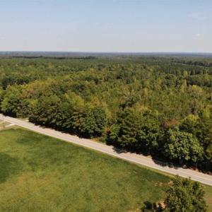 Photo of SOLD!! 22 Acres of Residential and Hunting Land For Sale in Dinwiddie County VA!