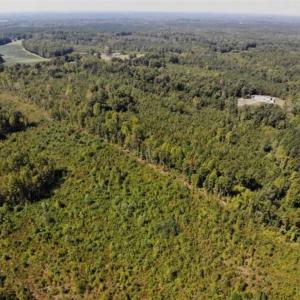 Photo of SOLD!! 22 Acres of Residential and Hunting Land For Sale in Dinwiddie County VA!