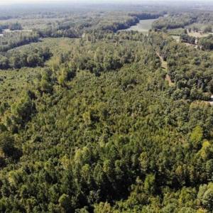 Photo of SOLD!! 22 Acres of Residential and Hunting Land For Sale in Dinwiddie County VA!