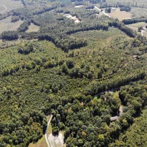 Photo of SOLD!! 22 Acres of Residential and Hunting Land For Sale in Dinwiddie County VA!