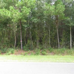 Photo of SOLD!!  4 Acres of Residential Land For Sale in Bladen County NC!