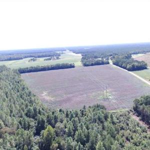 Photo of SOLD!  224 Acres of Timber and Farm Land in Suffolk County VA!