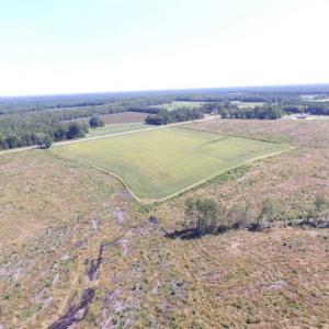 Photo of SOLD!  224 Acres of Timber and Farm Land in Suffolk County VA!