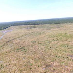 Photo of SOLD!  224 Acres of Timber and Farm Land in Suffolk County VA!