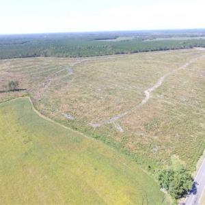 Photo of SOLD!  224 Acres of Timber and Farm Land in Suffolk County VA!