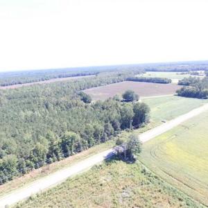 Photo of SOLD!  224 Acres of Timber and Farm Land in Suffolk County VA!