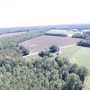 Photo of SOLD!  224 Acres of Timber and Farm Land in Suffolk County VA!