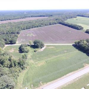 Photo of SOLD!  224 Acres of Timber and Farm Land in Suffolk County VA!