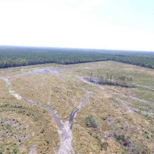 Photo of SOLD!  224 Acres of Timber and Farm Land in Suffolk County VA!