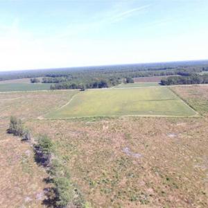 Photo of SOLD!  224 Acres of Timber and Farm Land in Suffolk County VA!