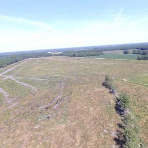 Photo of SOLD!  224 Acres of Timber and Farm Land in Suffolk County VA!