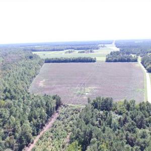 Photo of SOLD!  224 Acres of Timber and Farm Land in Suffolk County VA!
