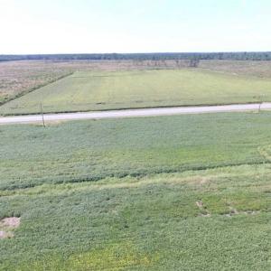 Photo of SOLD!  224 Acres of Timber and Farm Land in Suffolk County VA!
