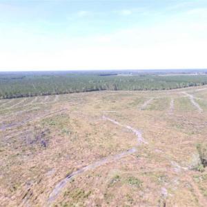 Photo of SOLD!  224 Acres of Timber and Farm Land in Suffolk County VA!