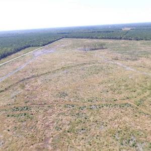 Photo of SOLD!  224 Acres of Timber and Farm Land in Suffolk County VA!