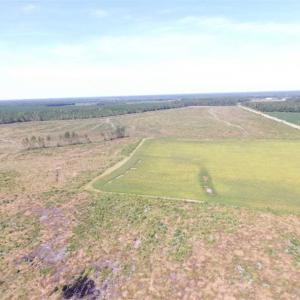 Photo of SOLD!  224 Acres of Timber and Farm Land in Suffolk County VA!