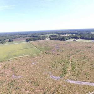 Photo of SOLD!  224 Acres of Timber and Farm Land in Suffolk County VA!