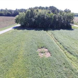 Photo of SOLD!  224 Acres of Timber and Farm Land in Suffolk County VA!
