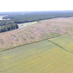 Photo of SOLD!  224 Acres of Timber and Farm Land in Suffolk County VA!