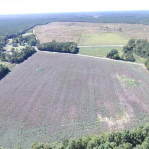 Photo of SOLD!  224 Acres of Timber and Farm Land in Suffolk County VA!