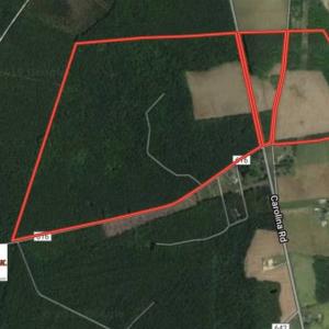 Photo of SOLD!  224 Acres of Timber and Farm Land in Suffolk County VA!