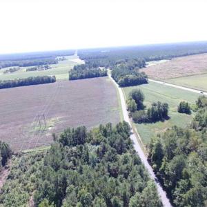 Photo of SOLD!  224 Acres of Timber and Farm Land in Suffolk County VA!