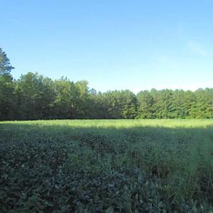 Photo of SOLD!!  17 Acres of Timber and Farm Land in Southampton County VA!