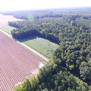 Photo of SOLD!!  17 Acres of Timber and Farm Land in Southampton County VA!
