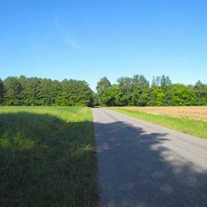 Photo of SOLD!!  17 Acres of Timber and Farm Land in Southampton County VA!