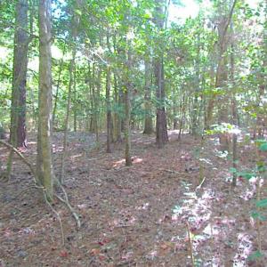 Photo of SOLD!!  17 Acres of Timber and Farm Land in Southampton County VA!